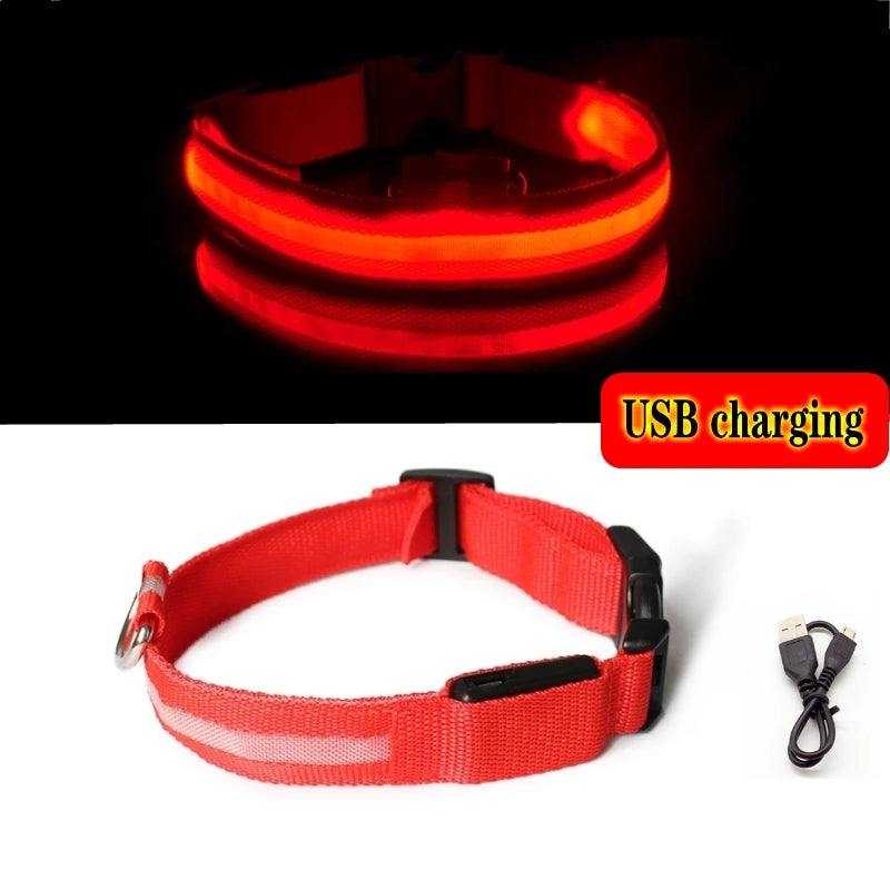 Coleira Luminosa LED Anti-perda para Cães Filhotes Coleira Noturna Luminosa Acessórios para Produtos para Animais de Estimação Carregamento USB/Bateria