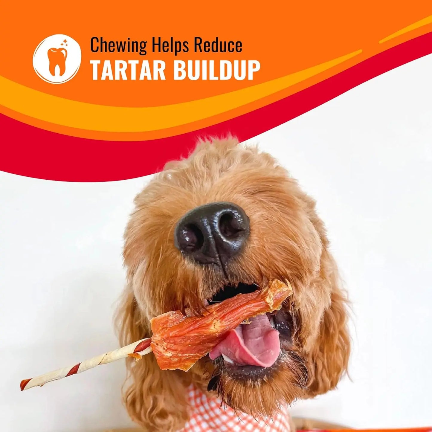 Chicken Flavor Dumbbell Dog Chews, Long-Lasting Rawhide Treats for Small Breeds