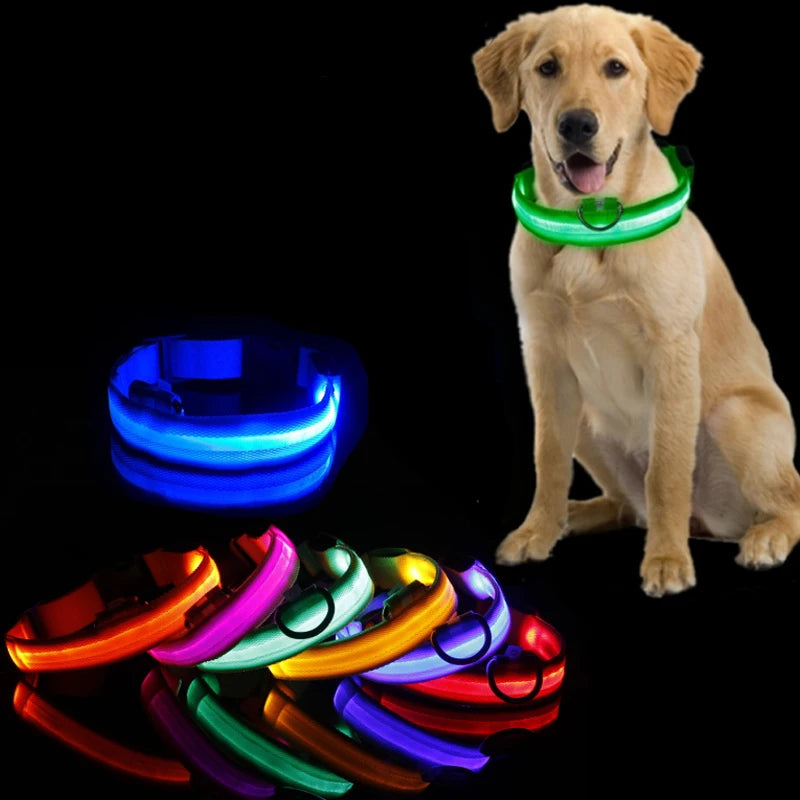 Coleira Luminosa LED Anti-perda para Cães Filhotes Coleira Noturna Luminosa Acessórios para Produtos para Animais de Estimação Carregamento USB/Bateria