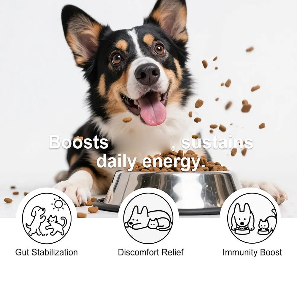 Dog Probiotic Intestinal Powder Delicious Bacon Flavor Digestive Support Long Shelf Life Premium Pet Health Supplement