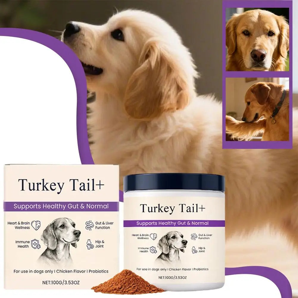 Dog Probiotic Intestinal Powder Delicious Bacon Flavor Digestive Support Long Shelf Life Premium Pet Health Supplement