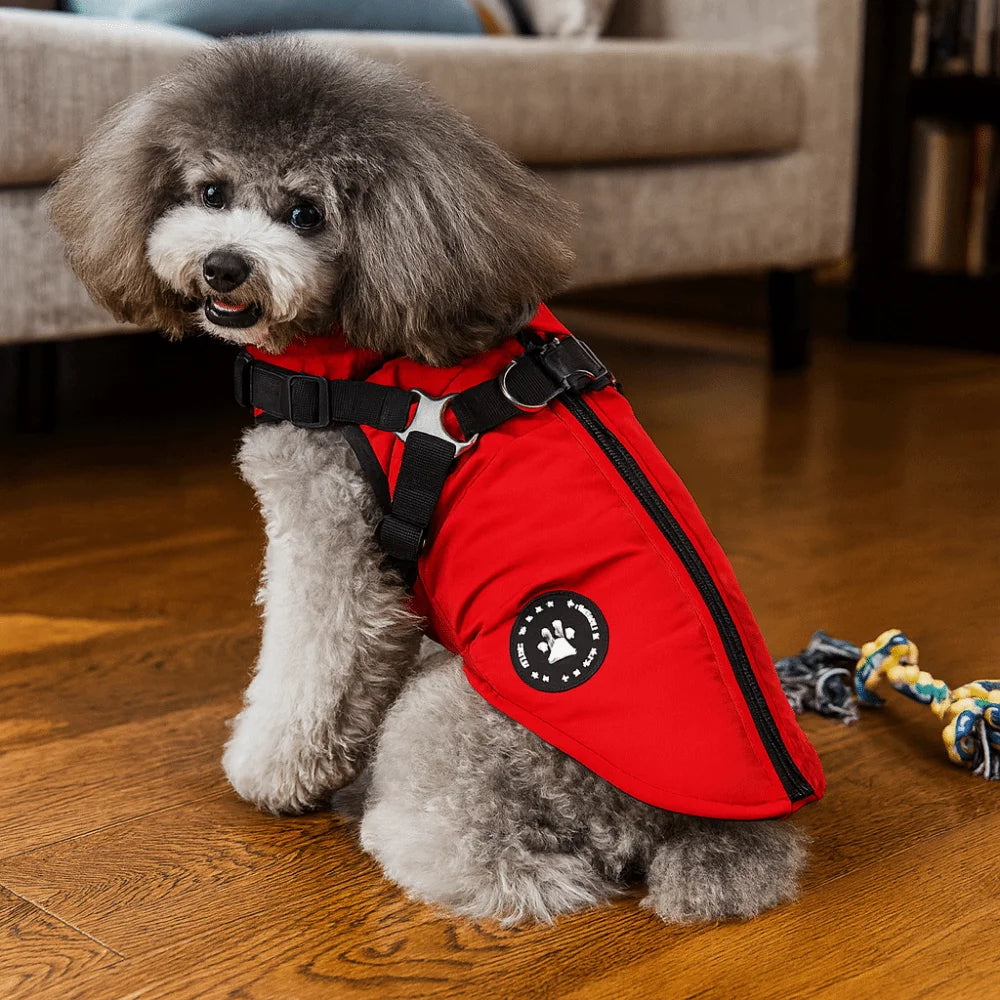 Roupa de Cachorro Impermeável Ajustável, Roupas de Inverno para Cães, Blusão Grosso com Arnês, Casaco Quente para Cães e Gatos
