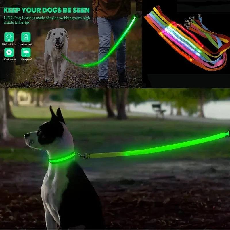 Corda de coleira de cachorro de estimação com luz Luminous Lead Leash Carregamento USB para segurança do cão Acessórios de coleira de arnês brilhantes piscantes