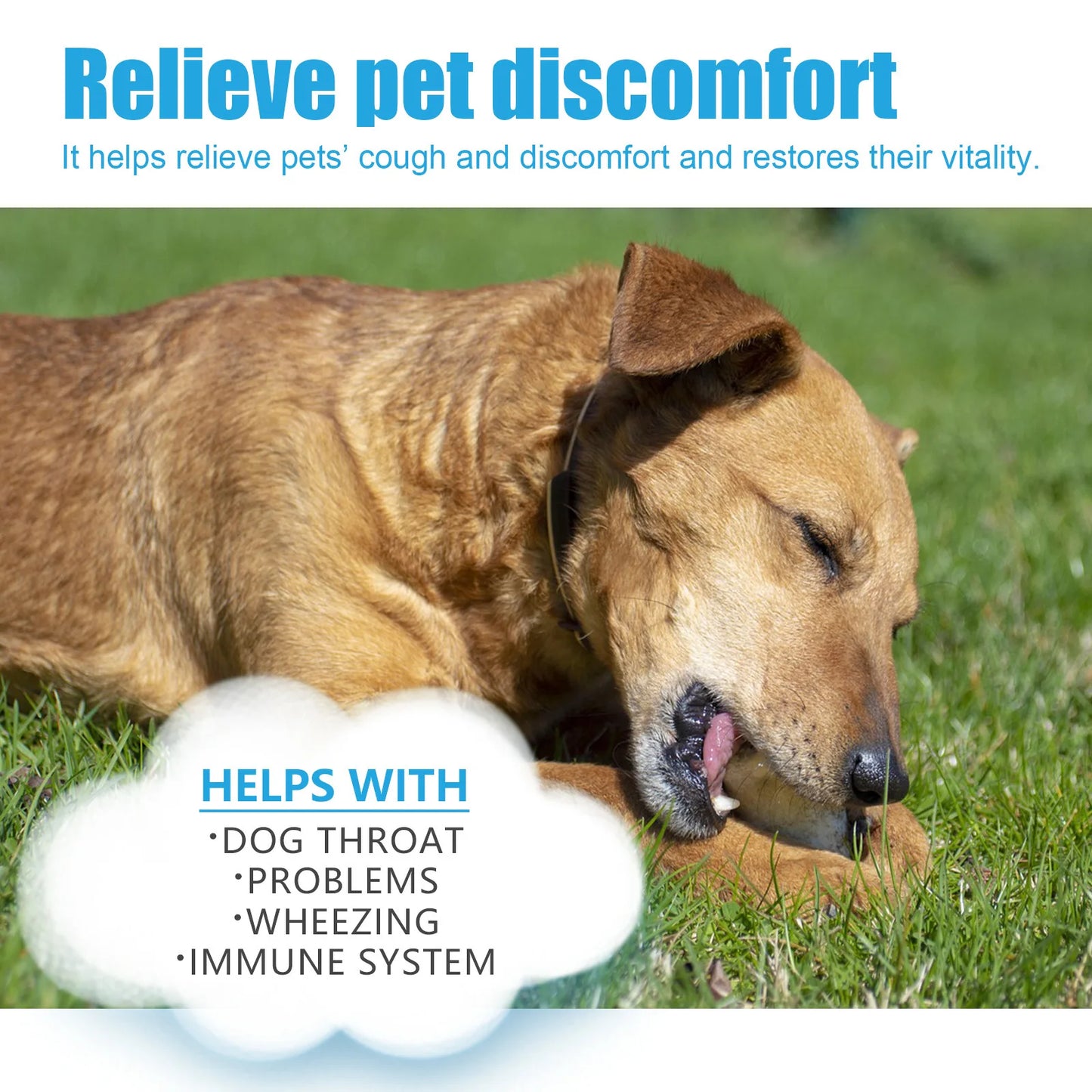 Dog Cough Drop Wet Medicine Sore Throat Soother Sneezing Cough Relief Anti Inflammation Itching Relief Natural Pet Cough Liquid