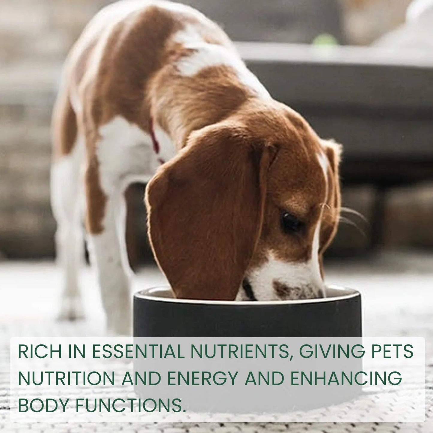 Pet Health Supplements Multi Vitamin Enhance Physical Fitness Protect Dogs Cats Stomach Oral Care Bad Breath Removal Pet Drops Happy Tails Pet Shop Store