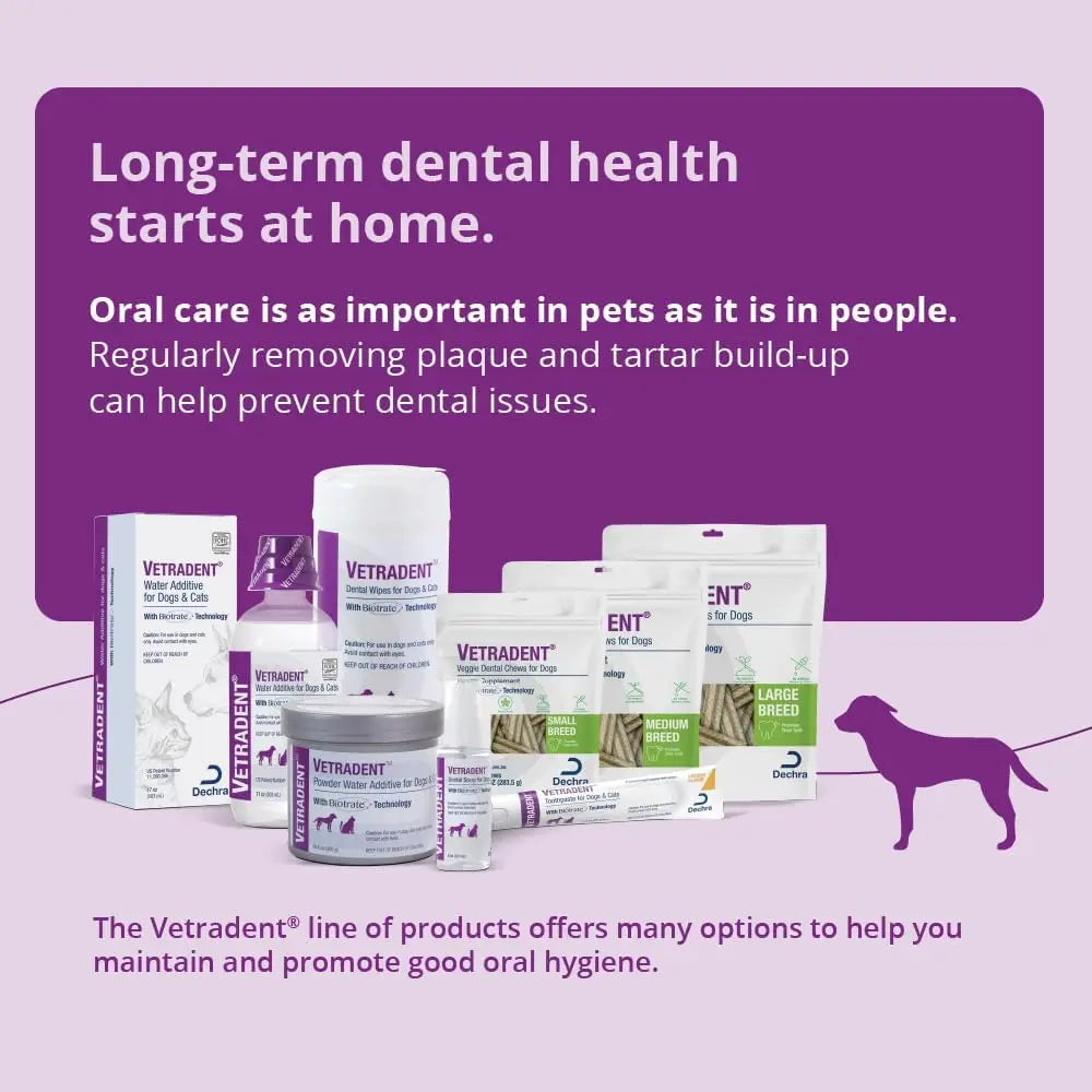 Masticables dentales vegetales para perros pequeños, golosinas naturales para limpiar los dientes