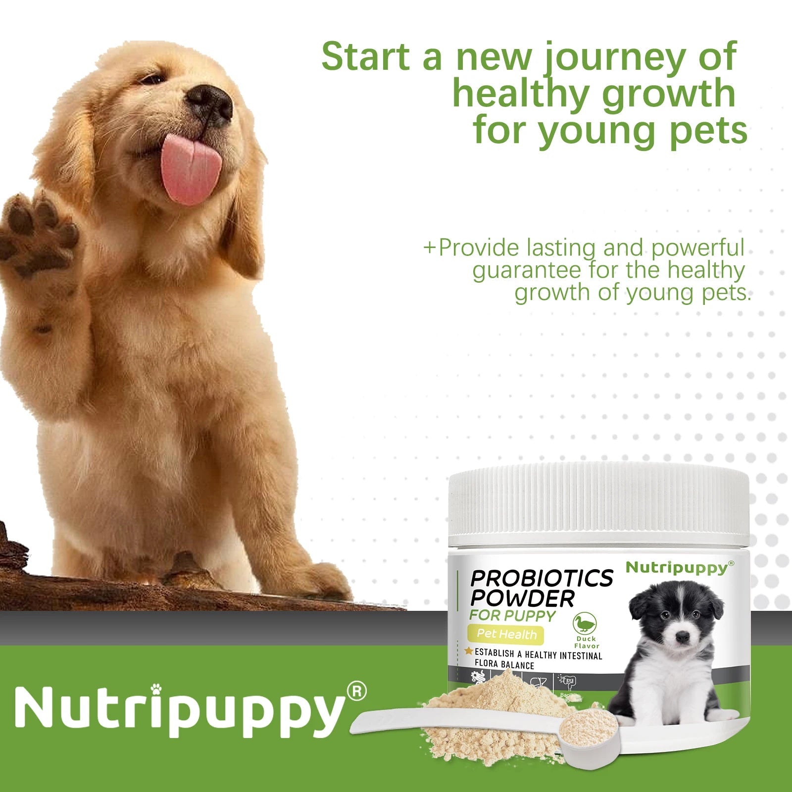 Dog Probiotic Powder Supplement - Supports Digestive Health&Relieves Diarrhea,Boosts Immune System for Puppy Adult Senior Dogs Happy Tails Pet Shop Store