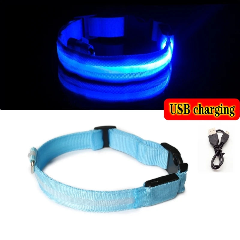 Coleira Luminosa LED Anti-perda para Cães Filhotes Coleira Noturna Luminosa Acessórios para Produtos para Animais de Estimação Carregamento USB/Bateria