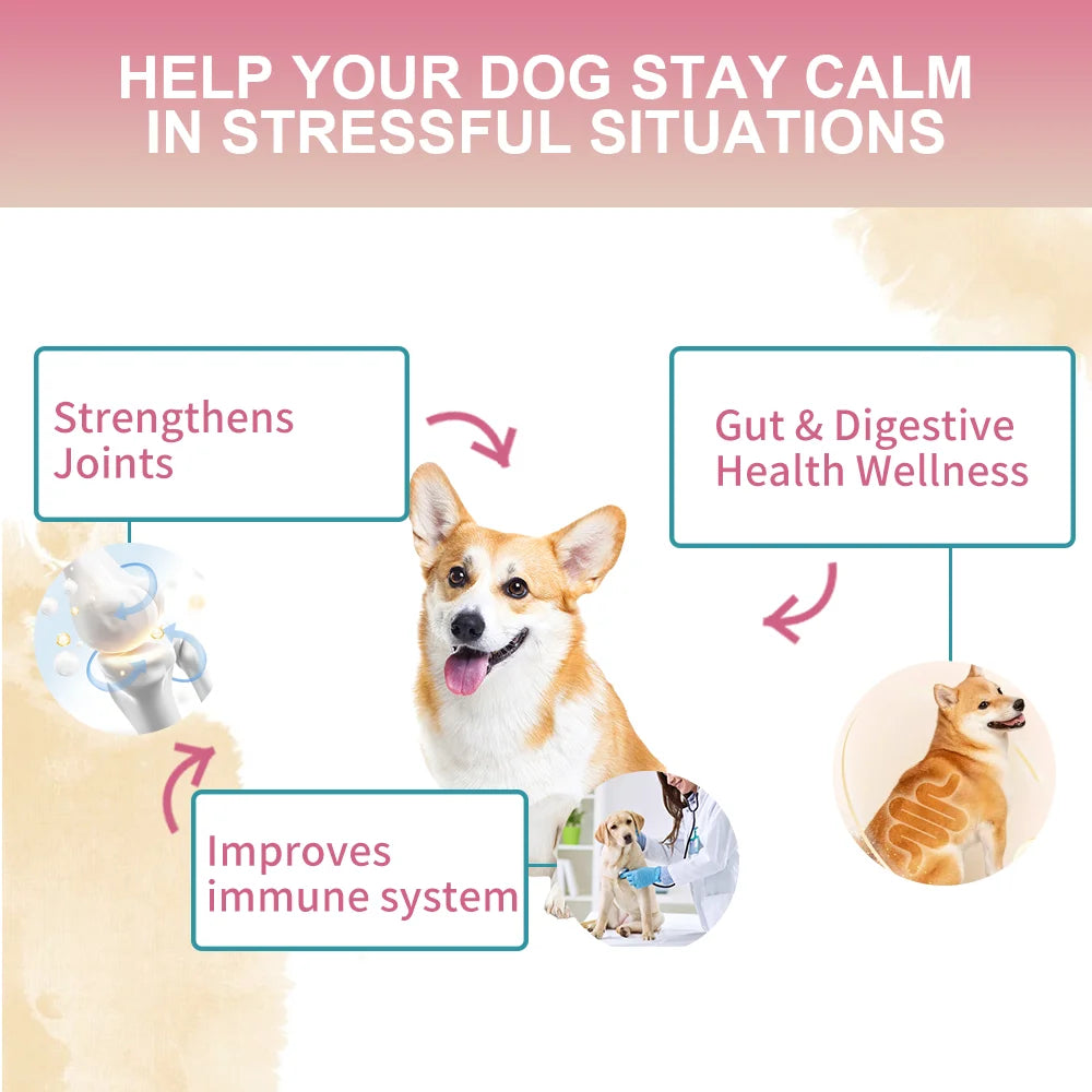 Dog Multivitamin Powder with Probiotics, Glucosamine & Digestive Enzymes, Immune System & Gut,Supports Joint Health（chicken） Happy Tails Pet Shop Store