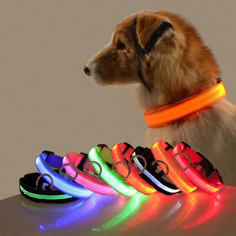 Coleira Luminosa LED Anti-perda para Cães Filhotes Coleira Noturna Luminosa Acessórios para Produtos para Animais de Estimação Carregamento USB/Bateria
