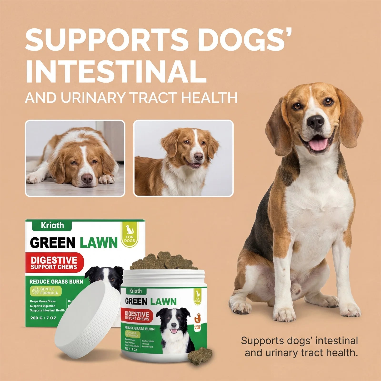 Natural Dog Digestive Support Probiotic Chews Chicken Flavored Supplement for Constipation Relief Puppy Stomach Care 200g Happy Tails Pet Shop Store