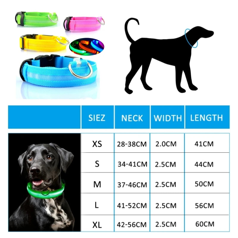 Coleira Luminosa LED Anti-perda para Cães Filhotes Coleira Noturna Luminosa Acessórios para Produtos para Animais de Estimação Carregamento USB/Bateria