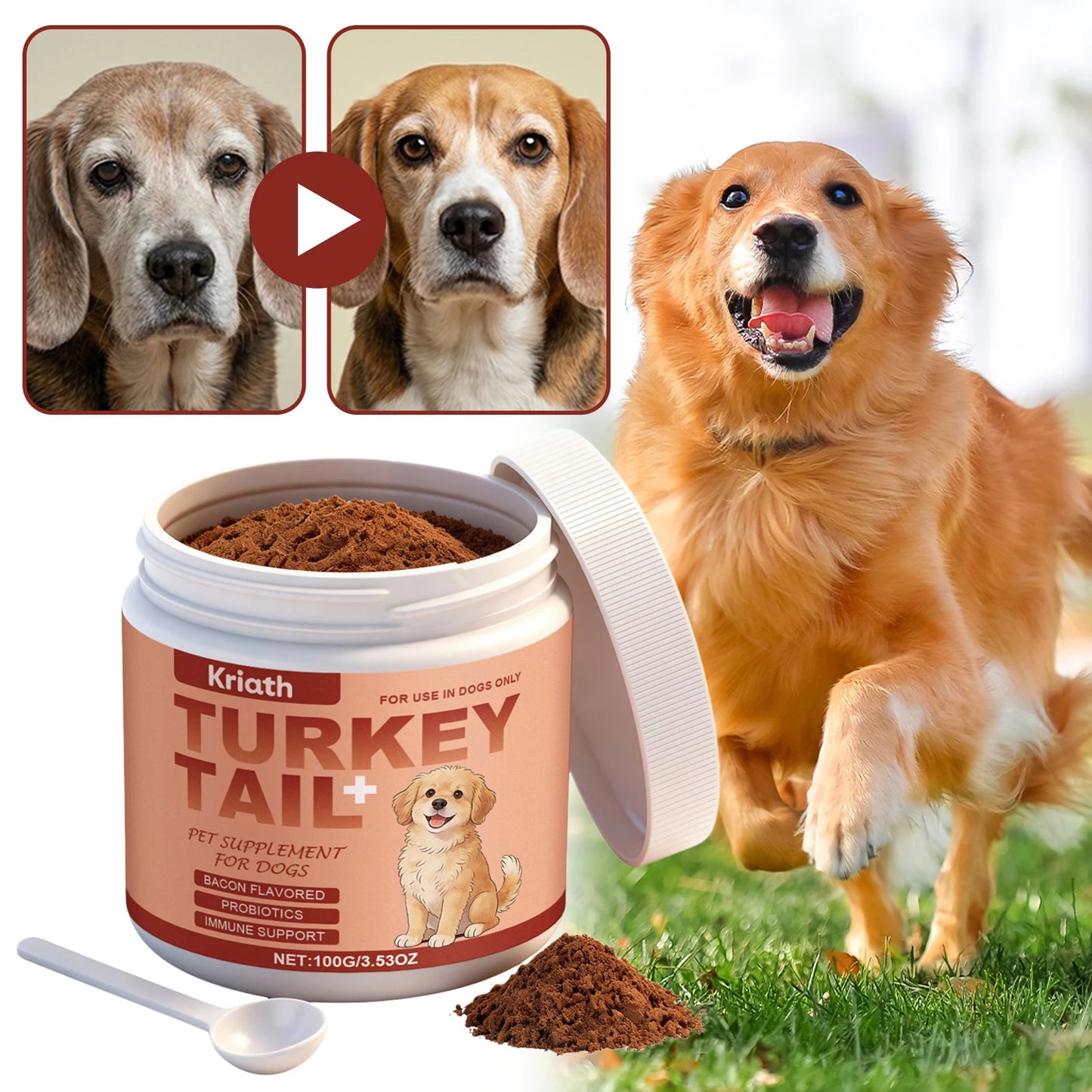 Dog Daily Supplement For Senior Dogs Joint And Coat Daily Comprehensive Care For Your Dog. Cozy Comfort