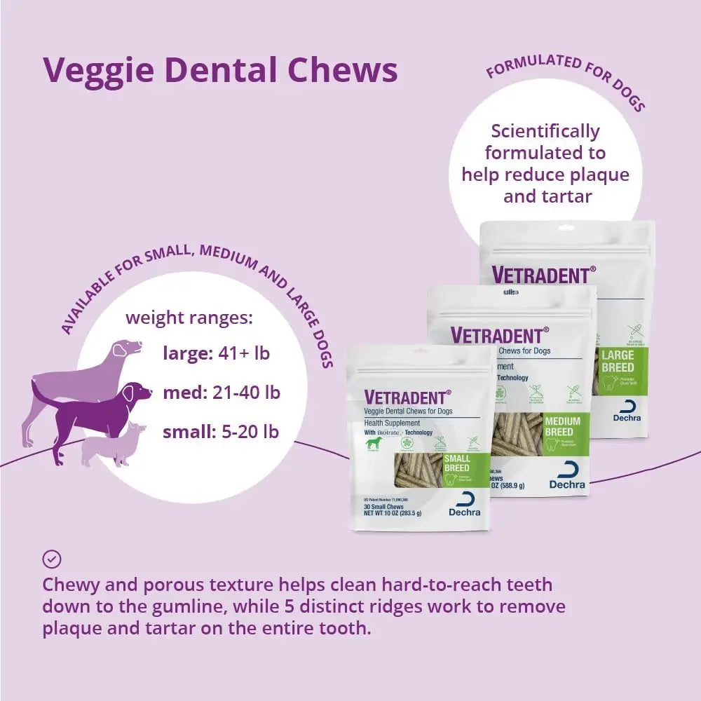 Masticables dentales vegetales para perros pequeños, golosinas naturales para limpiar los dientes