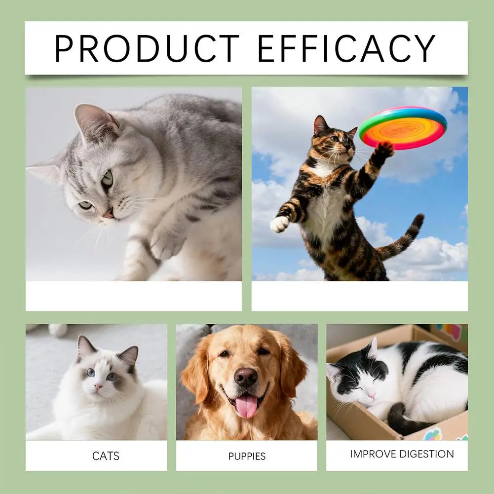 Pet Nutrition Supplement Probiotic Drops Containing Enzymes 60ML Used For Dog Cat Digestion And Boosts Immune Health Supplement Happy Tails Pet Shop Store
