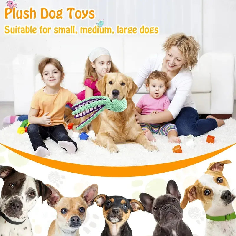 Peluche pour animaux de compagnie (chat/chien) , jouet puzzle interactif en forme de coquillage de pieuvre, résistant aux morsures, pour le nettoyage des dents du chien, accessoires pour animaux. 