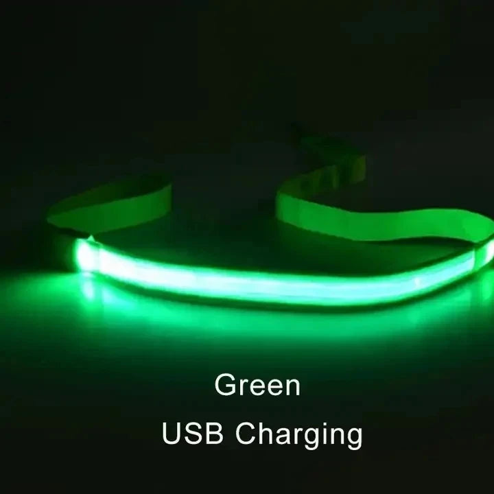 Corda de coleira de cachorro de estimação com luz Luminous Lead Leash Carregamento USB para segurança do cão Acessórios de coleira de arnês brilhantes piscantes